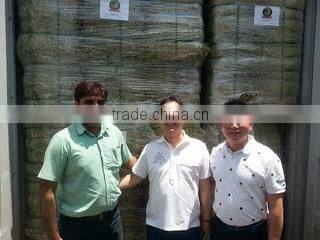 Saremco International company overview - view 2