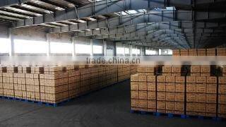 Shaoxing Sunday Textile & Chemical Co., Ltd. company overview - view 2