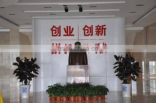 Anhui White Rabbit Power Co., Ltd. company overview - view 2