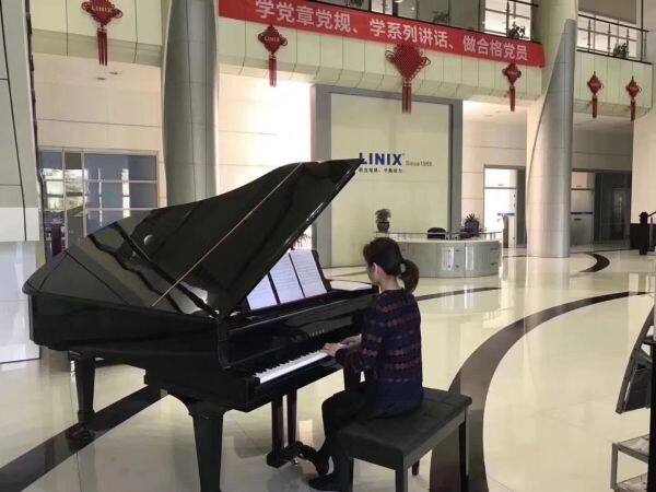 Zhejiang Linix Motor Co., Ltd. company overview - view 3