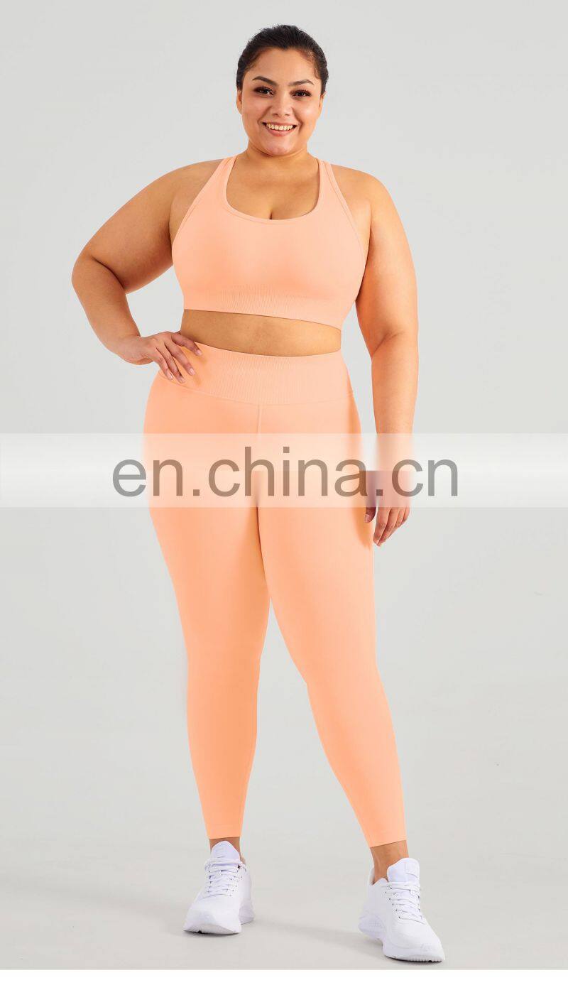 Custom Eco High Impact Seamless Sports Racer Back Gym Sexy Bra Women Plus Size Yoga Top