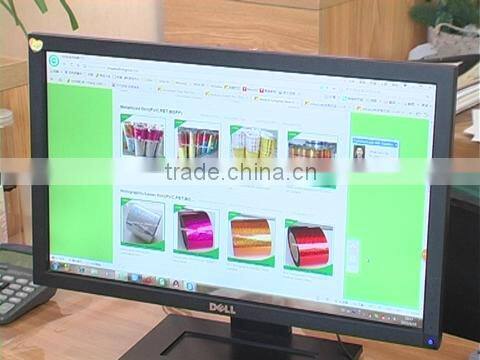 Shaanxi Longstar New Material Technology Co., Ltd. company overview - view 1