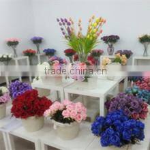 Tianjin Taibo International Trade Co., Ltd. company overview - view 1