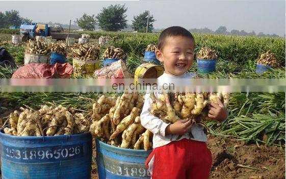 High fructose corn syrups processing line Synanthrin production line