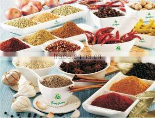 Evergreen Exports company overview - view 3