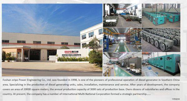 Foshan Oripo Power Engineering Co., Ltd. company overview - view 1