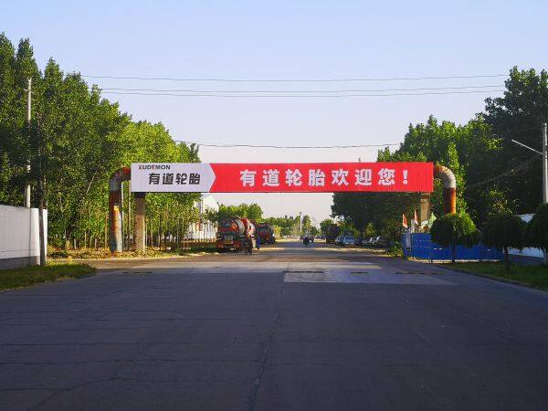 Eudemon Tire Co Ltd company overview - view 1