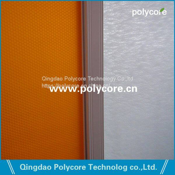 Polycore PC honeycomb sandwich panel Optpan irregular core as door panel