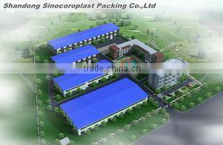 Shandong Sinocoroplast Packing Co., Ltd. company overview - view 4