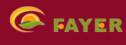 Shanghai Fayer Forever Industrial Co.,Ltd