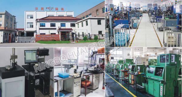 Ningbo Zhenhai Hualei Bearing Co., Ltd company overview - view 1