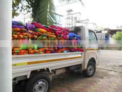 Vasudev Hargovind Overseas company overview - view 3