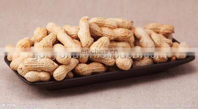 Broad bean pealing machine/Peanut peeling machine/peanut skin peeling machine