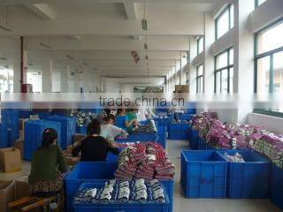 Zhejiang Tianhong Knitting Co., Ltd. company overview - view 3