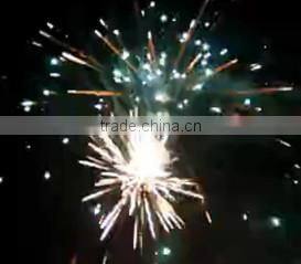 Changsha Skyking Import & Export Co., Ltd. company overview - view 3