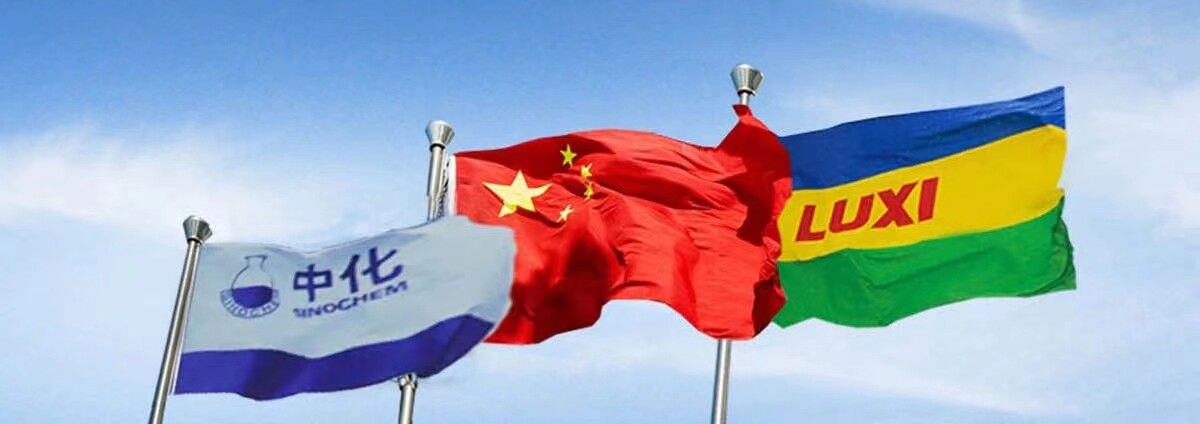 Luxi New Energy Equipment Group Co.,ltd company overview - view 2