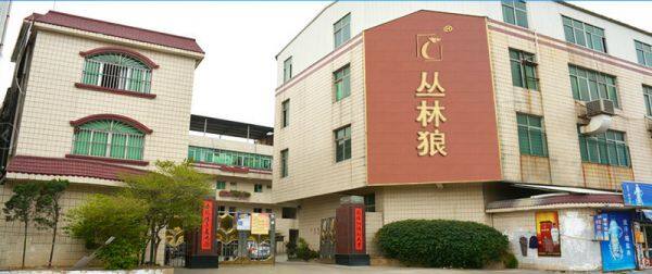 Jungle Wolf Technology Co.,Ltd company overview - view 1