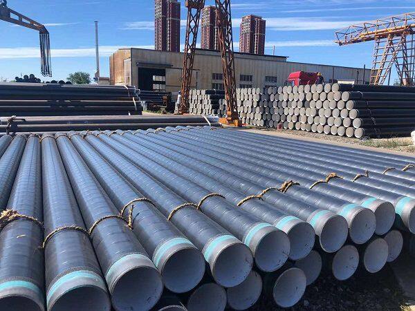 Hebei Renpu Imp & Exp Trading Co., Ltd. company overview - view 1