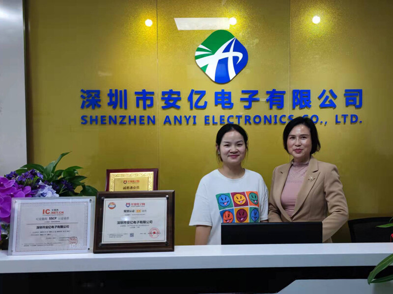 Shenzhen Anyi Electronics Co., Ltd. company overview - view 1