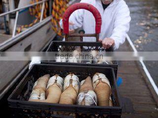 I. Fish Company Limited company overview - view 2