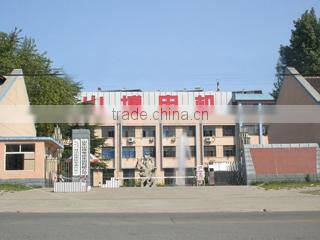 Shandong Shanbo Electric Machine Group Co., Ltd. company overview - view 2