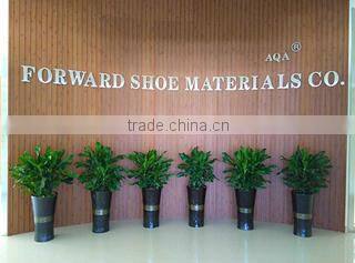 Fujian Forward Shoe Materials Co., Ltd. company overview - view 1