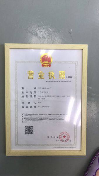 Shenzhen Te Shi Garment Factory company overview - view 2