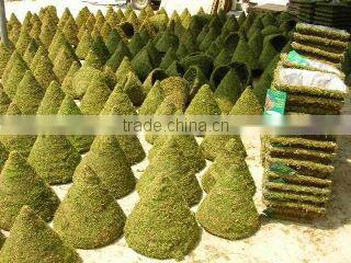 Duan New Garden Handicrafts Factory company overview - view 1