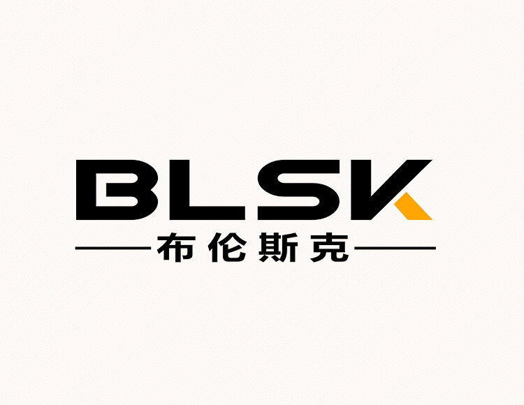 Guangdong Brunsk Intelligent Equipment Co., Ltd