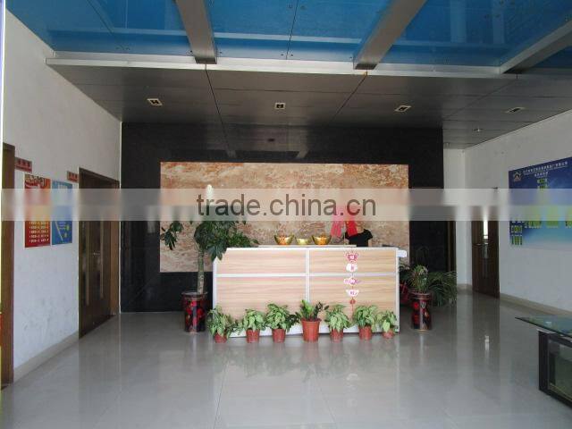 Jiangmen Dianyi Display System Manufactory Co., Ltd. company overview - view 3