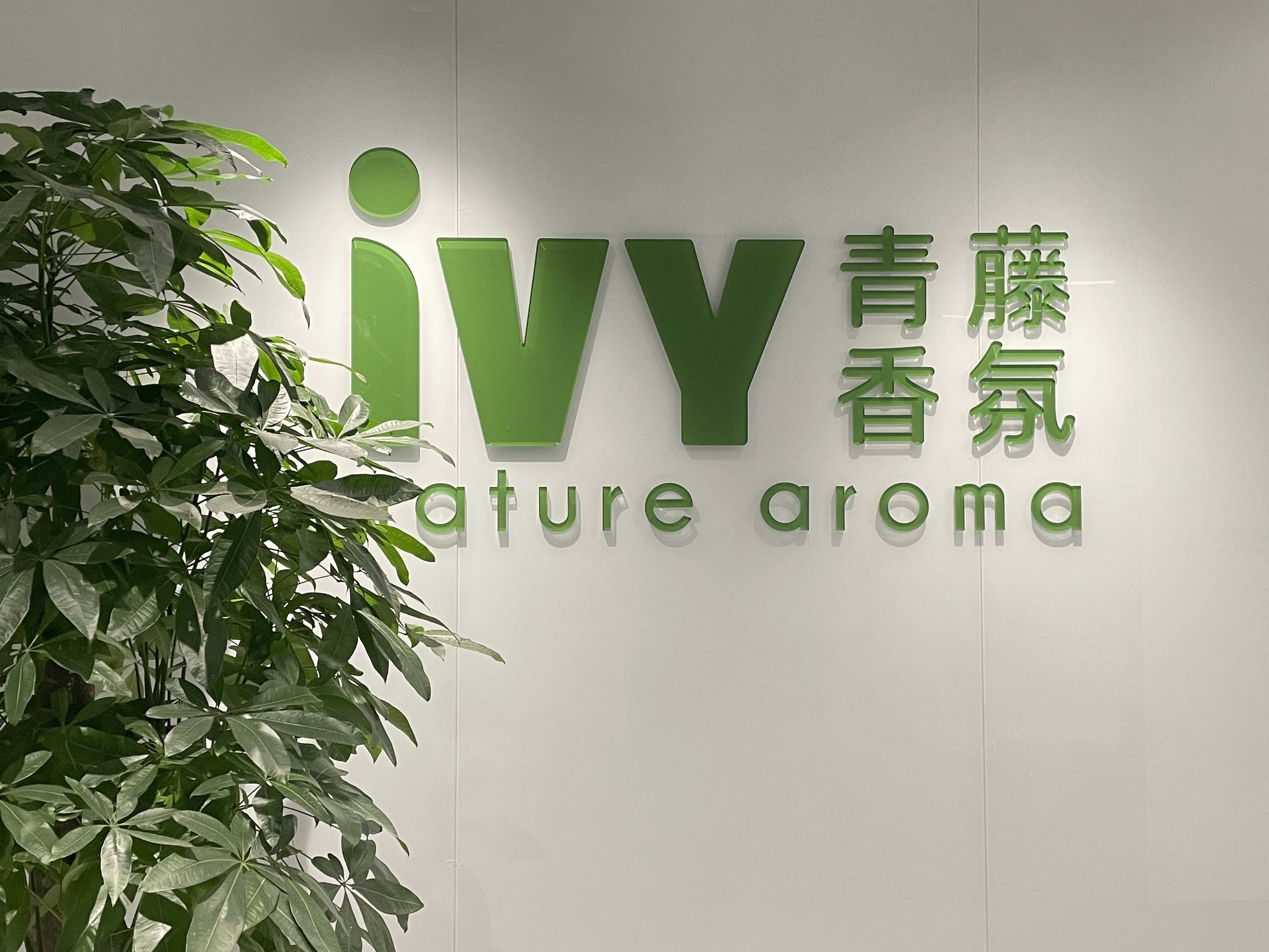 Shenzhen Ivy Aroma Technology Co.,Ltd company overview - view 4