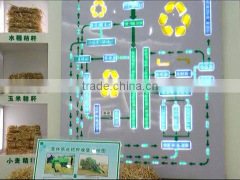 Shandong Tranlin Paper Co., Ltd. company overview - view 1