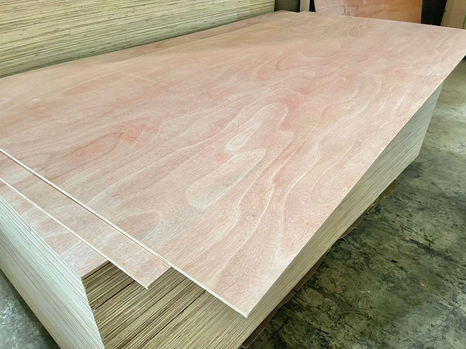 微信图片_20240514180018