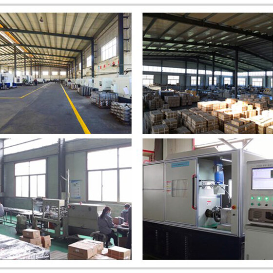 Hengshui Bozhong Auto Parts Co., Ltd. company overview - view 1