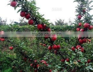 Tianshui Kairui Trade Co., Ltd. company overview - view 1