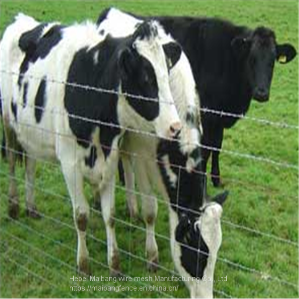 HTB1arLcaoLrK1Rjy1zb763enFXab