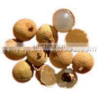 hot sale china cherry pitting machine