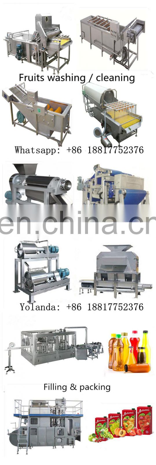 commercial aloe vera gel processing machine