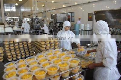 sweet canned thailand pineapple processing line