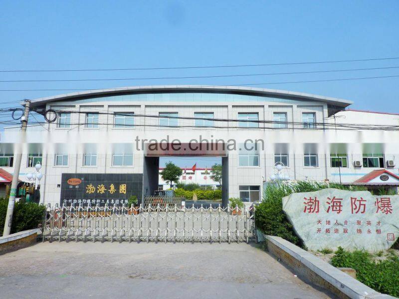 Cangzhou Bohai Safety & Special Tools Group Co., Ltd. company overview - view 2