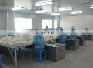 Hebei Baimei Latex Products Co., Ltd. company overview - view 3