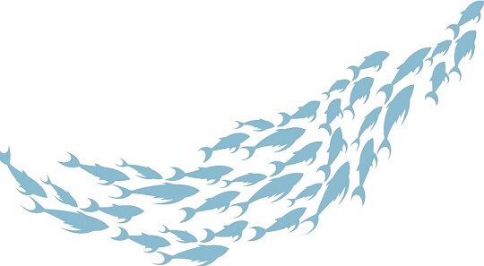 Nova Packing Co.,Ltd company overview - view 1