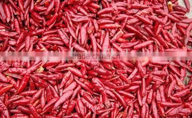 Best selling red chilli drying machine /fruit drying machine