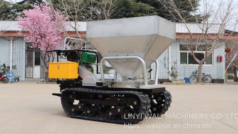 长方形主图 (45)