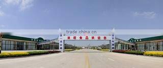 Yantai Shuangta Food Co., Ltd. company overview - view 1