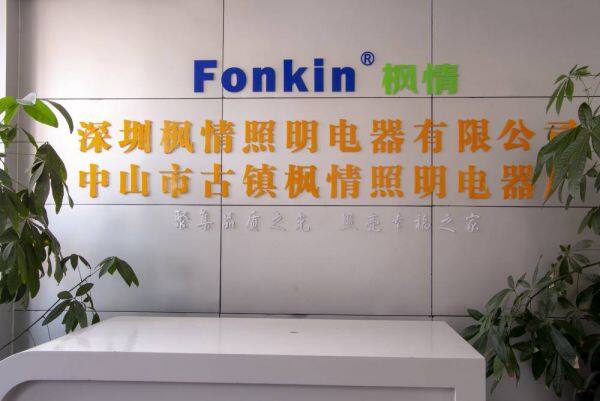 Shenzhen Fonkin Lighting Appliance Co.,Ltd. company overview - view 1