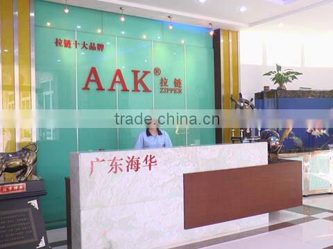 Guangdong Haihua Zipper Limited company overview - view 1