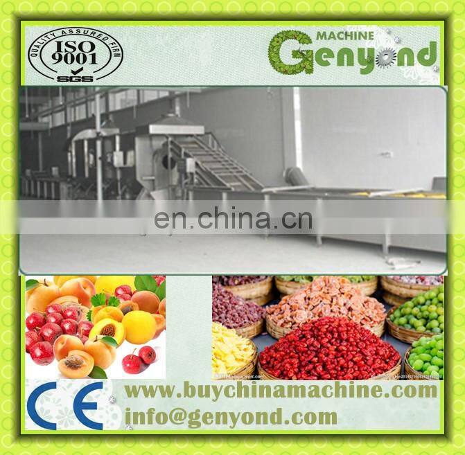 Hot Sale Fruit Drying Line for Dehydrated fruit