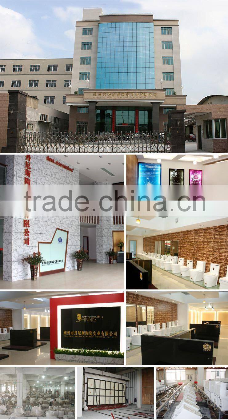 Chaozhou Dennis Ceramics Industrial Co., Ltd. company overview - view 1