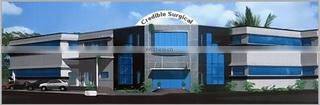 Credible Surgical (private) Limited company overview - view 1